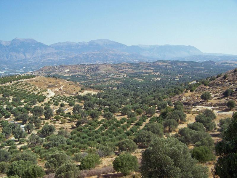 Villas Alexandros Kalamaki  Oda fotoğraf